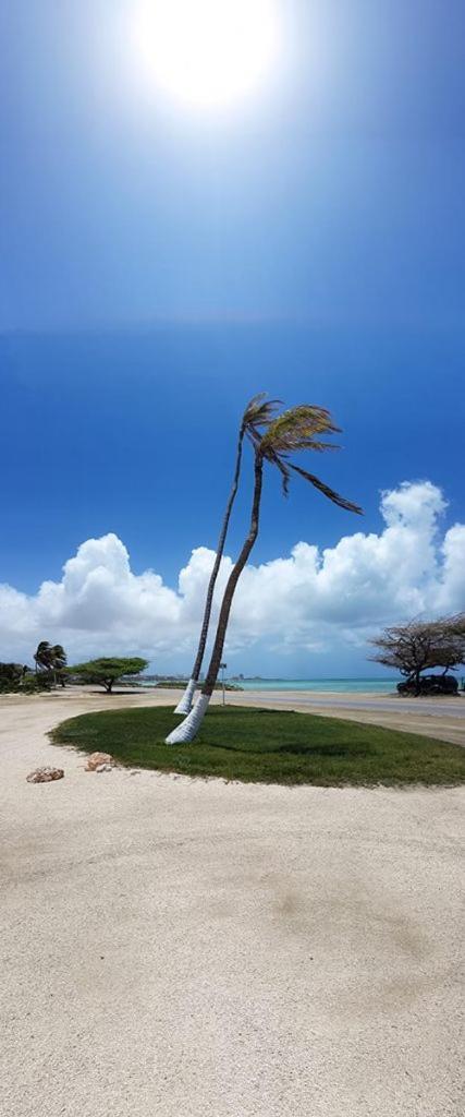 Aruba Beach Villas Palm Beach Exterior foto